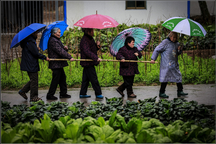 社會組《帶路》樊兔兔
